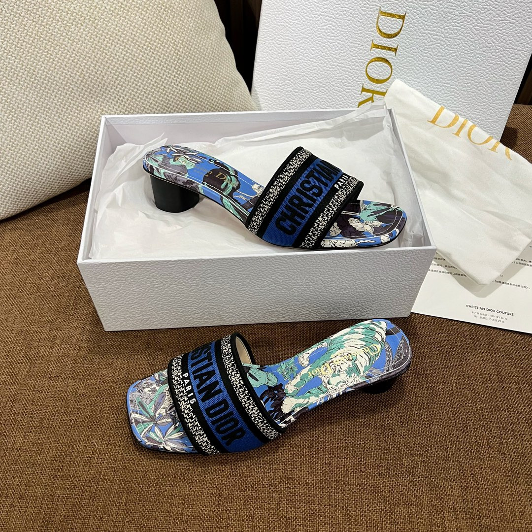 Dior Slippers