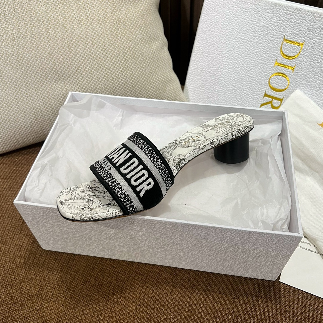 Dior Slippers