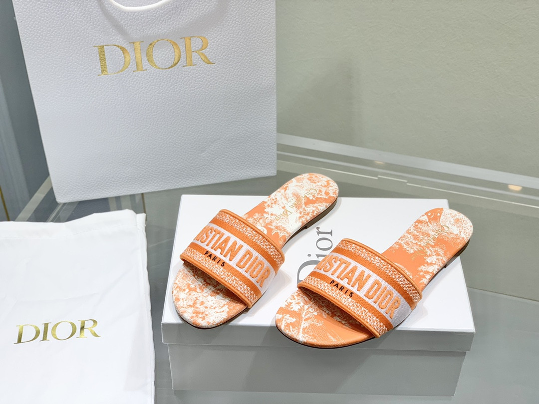 Dior Slippers