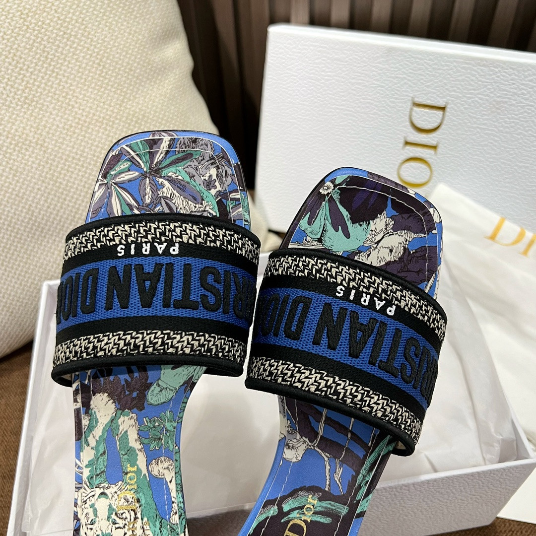 Dior Slippers