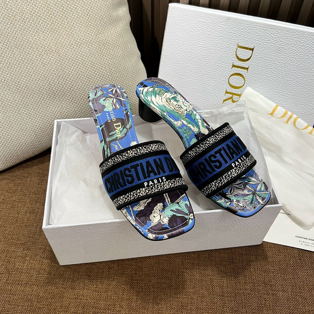 Dior Slippers