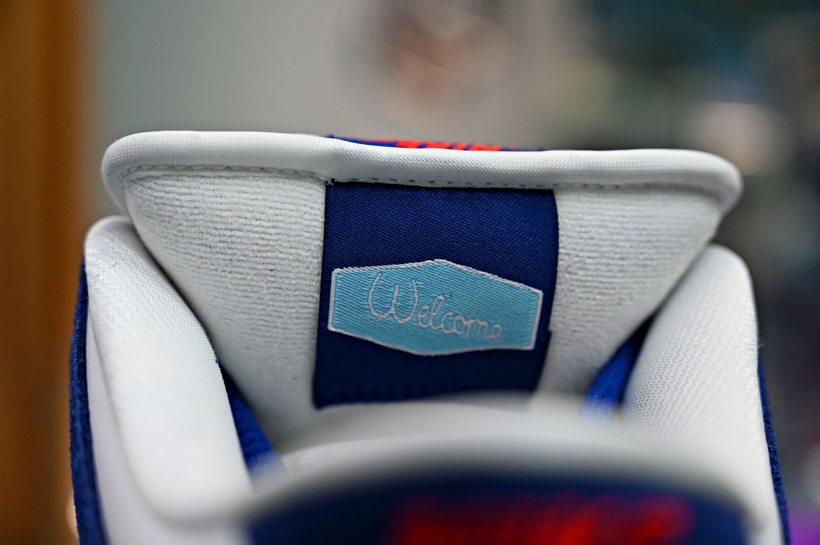 NIKE DUNK LOW PRO PRM