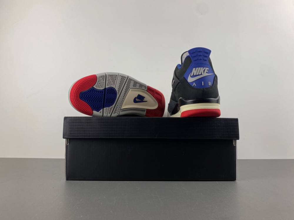 Jordan 4 Retro Rare Air FV5029-003