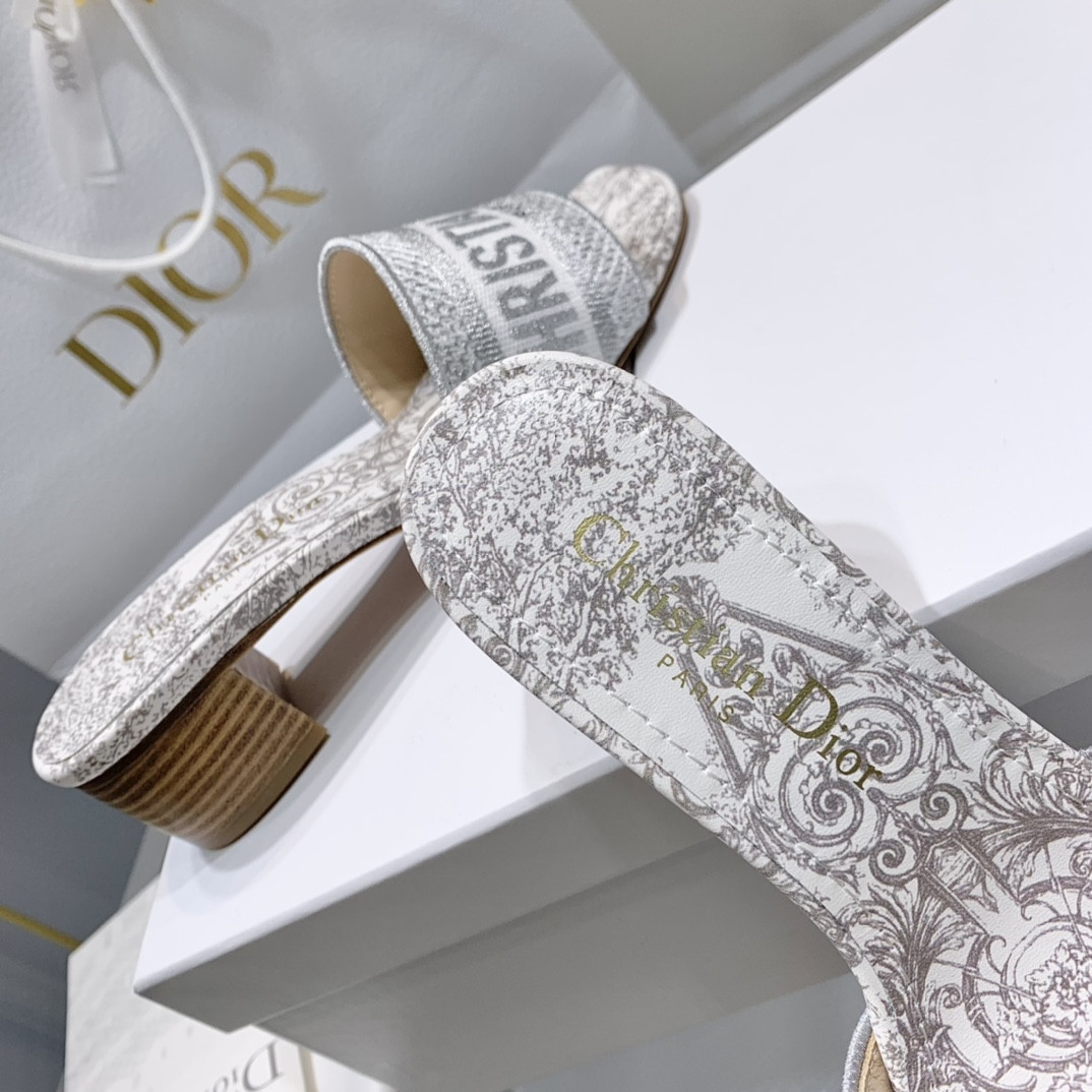 Dior Slippers