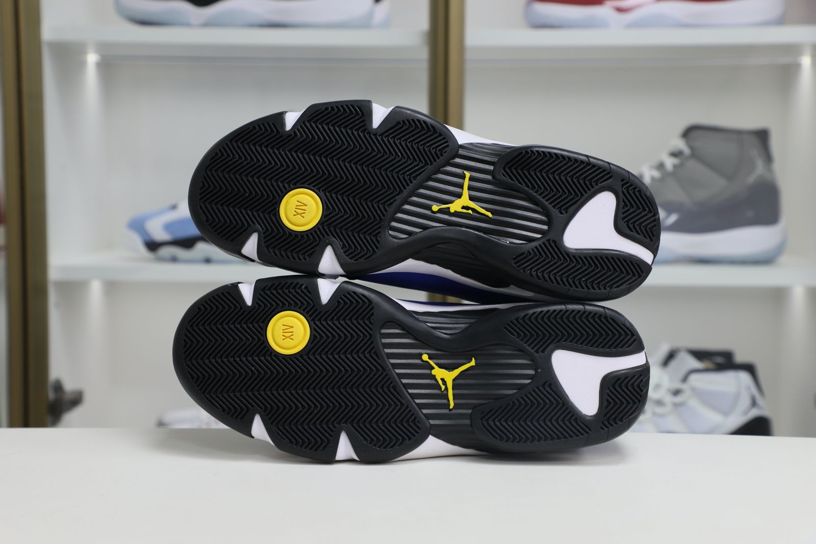Jordan 14 Retro Laney (2023) 487471-407