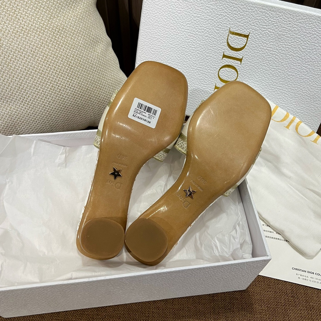 Dior Slippers