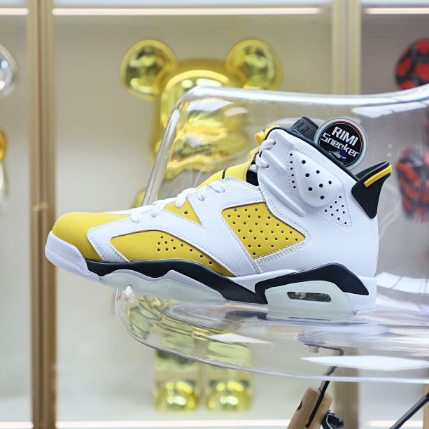 Air Jordan 6
