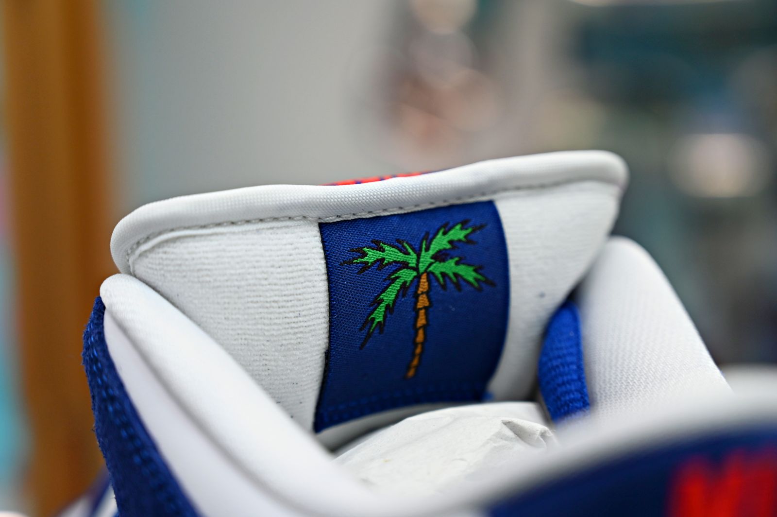 NIKE DUNK LOW PRO PRM