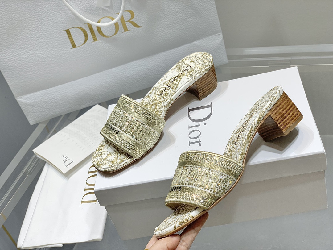 Dior Slippers