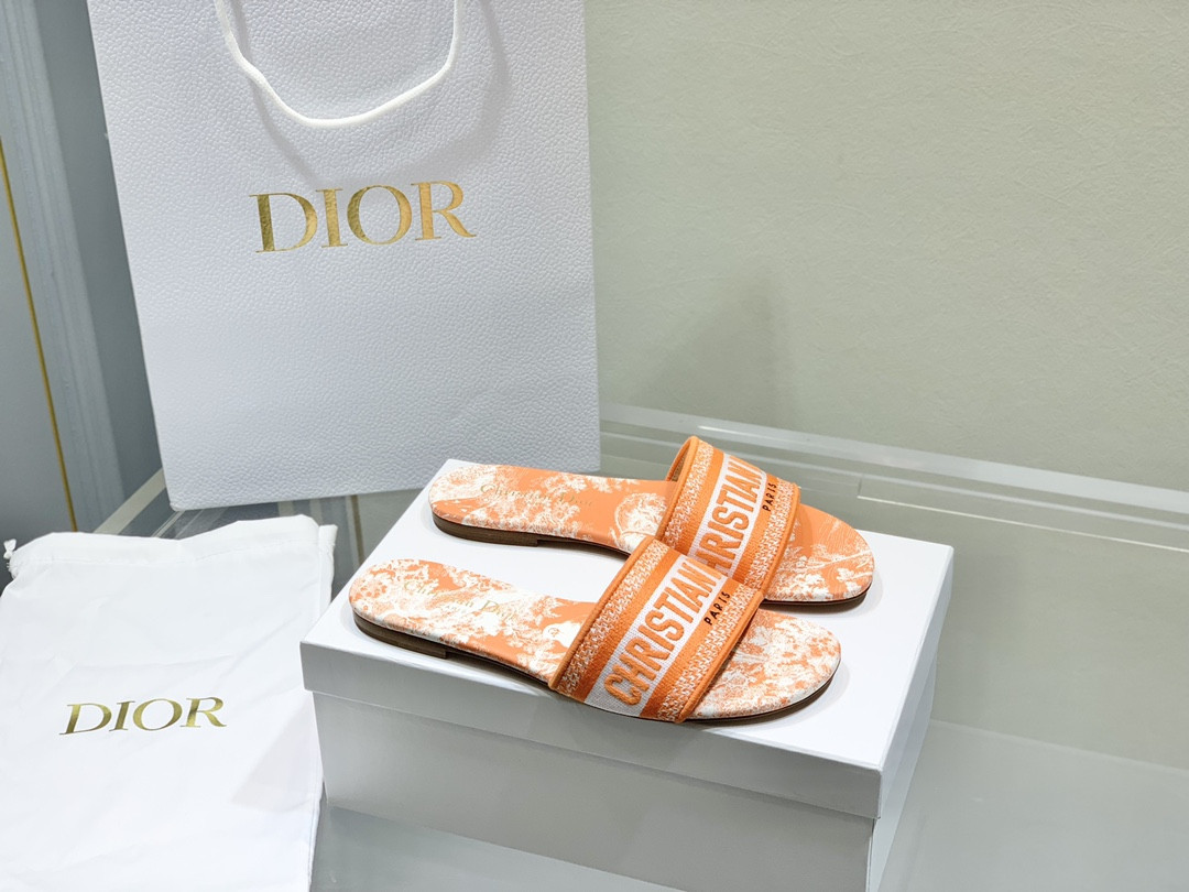 Dior Slippers