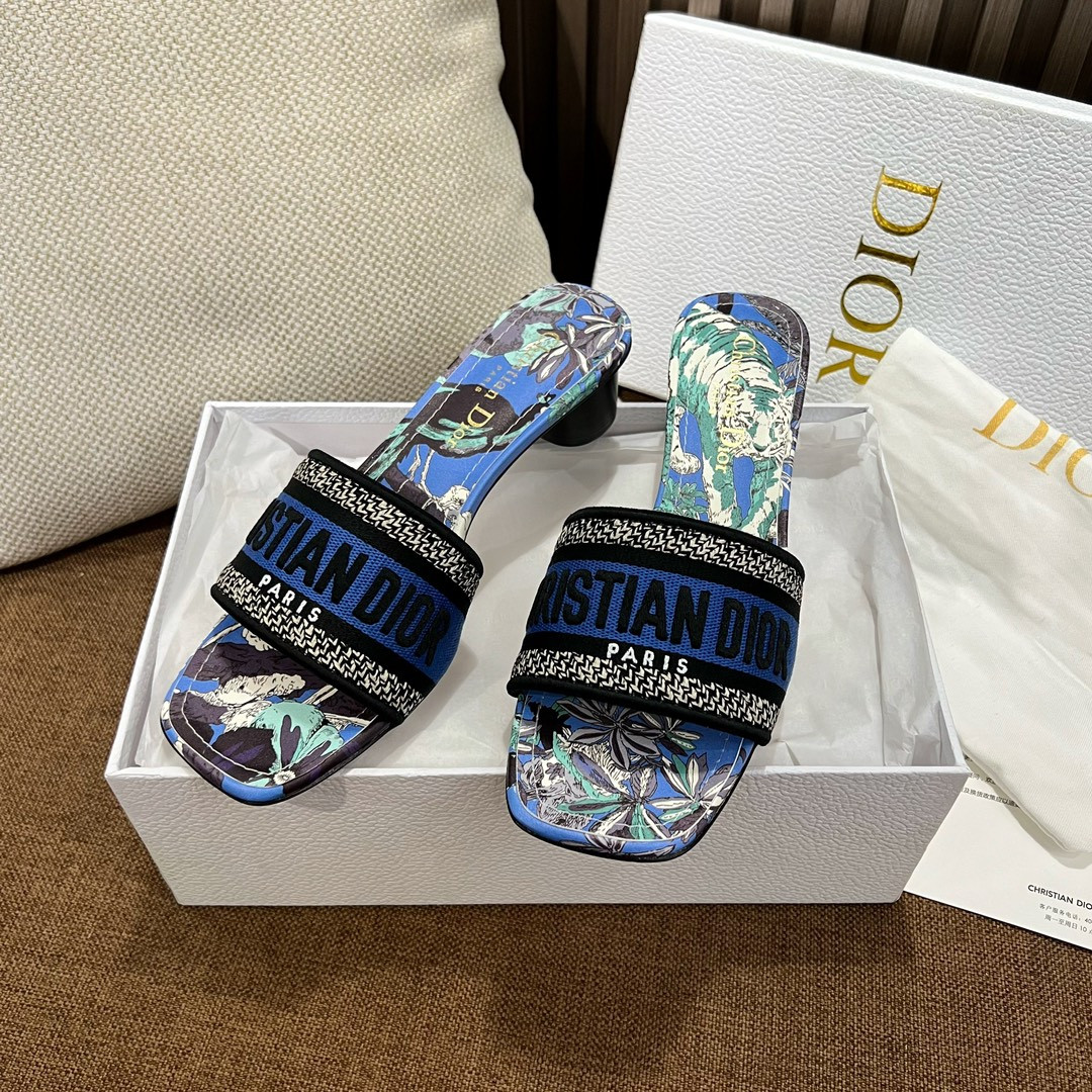 Dior Slippers